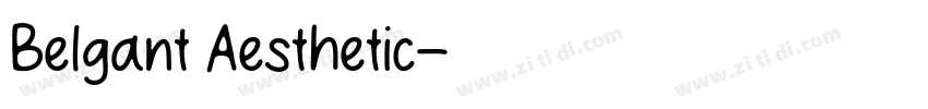 Belgant Aesthetic字体转换